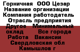 Горничная. ООО Цезар › Название организации ­ Компания-работодатель › Отрасль предприятия ­ Другое › Минимальный оклад ­ 1 - Все города Работа » Вакансии   . Свердловская обл.,Камышлов г.